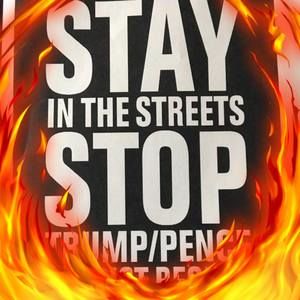 Meet your Posher, Ann